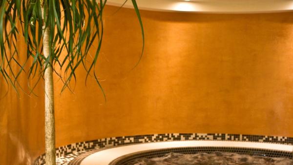 SPA - Salle de sport Hôtel Le Mauritia